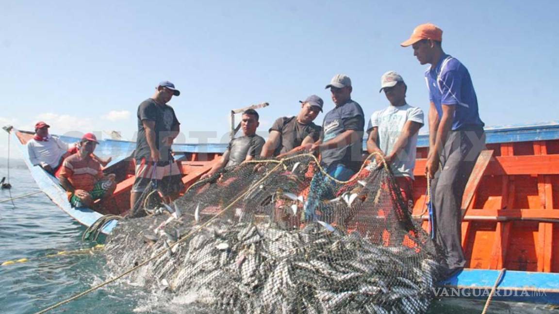 Senador promete rescate del sector pesquero