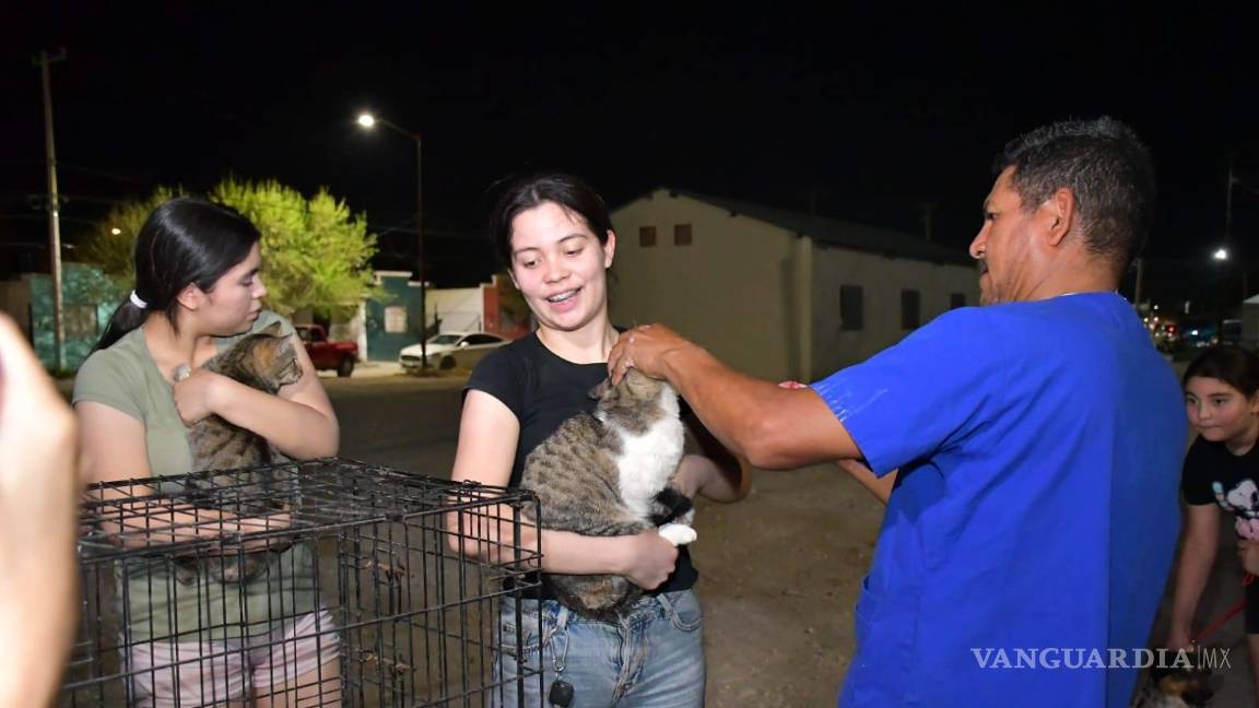 $!Entre los servicios brindados destacaron la aplicación de tratamiento contra pulgas y garrapatas y la desparasitación.