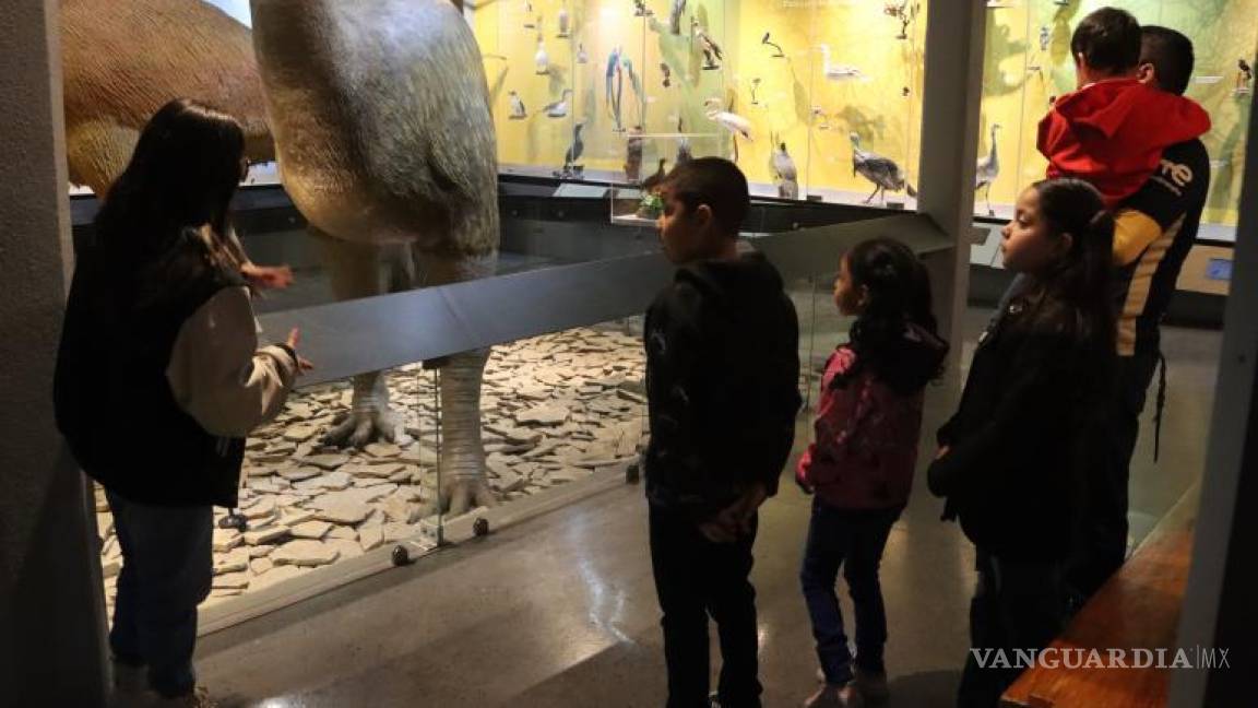 El Museo de las Aves promueve alternativas a la pirotecnia para proteger el medio ambiente y la fauna