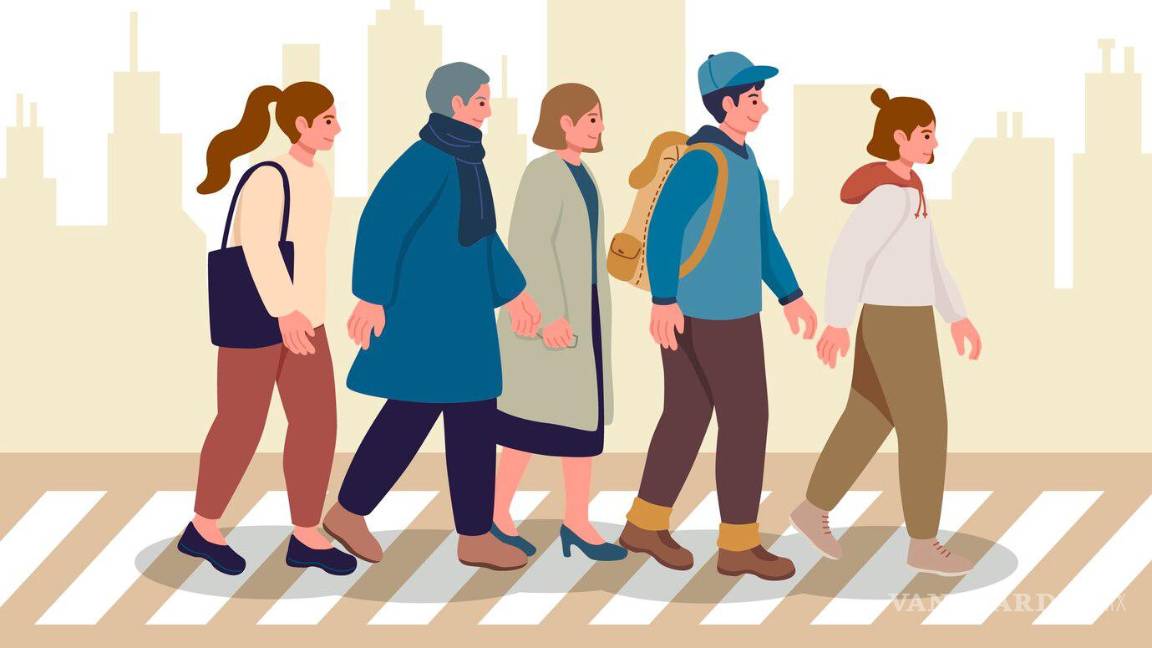 Humanizar la movilidad: Herramienta clave para la convivencia