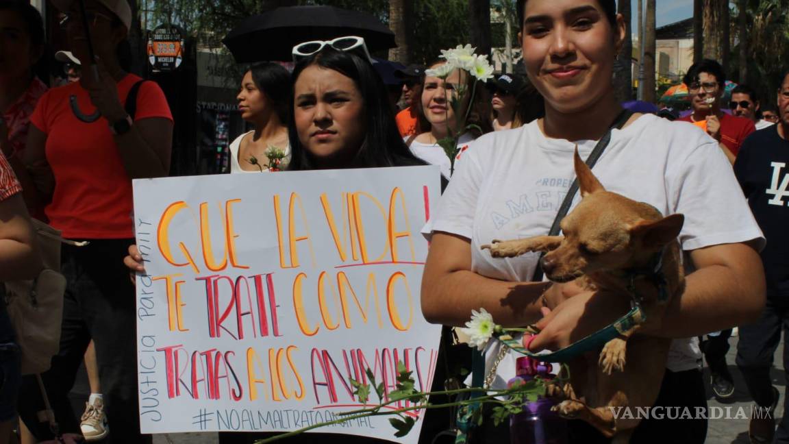 Con marcha en Torreón, exigen justicia para perrita ‘Mily’