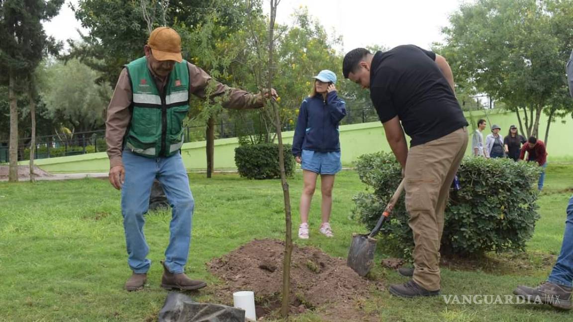 Reforestan 80 árboles en el Bosque Urbano de Torreón