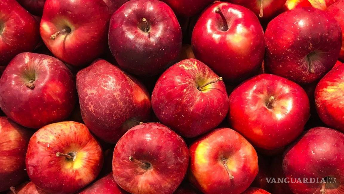 $!Manzanas rojas, verdes y amarillas... ¿Cuál es la diferencia enter ellas y cuáles son sus propiedades?