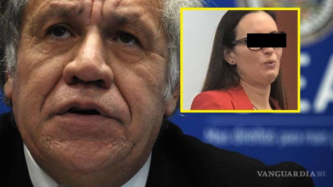 Luis Almagro viajó más de 20 veces con empleada mexicana de la OEA, con dinero del organismo