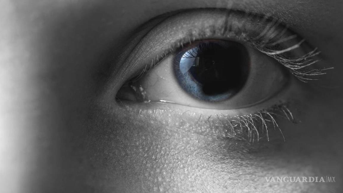 $!La aniridia es una enfermedad rara en la que al nacer los ojos no tienen iris.