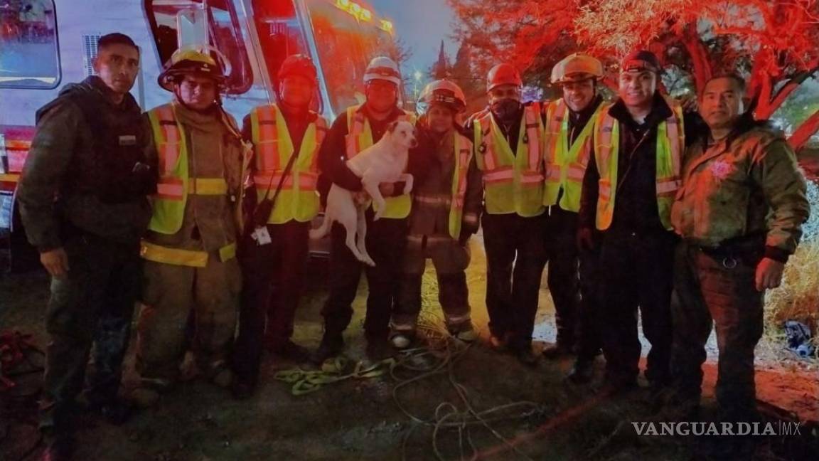 Bomberos de Saltillo y Policía Ambiental rescatan a cachorro de pozo de 25 metros