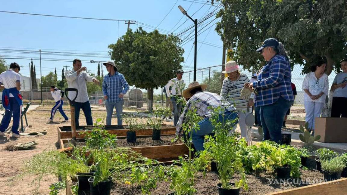 Invita Torreón a familias a celebrar el Día Mundial del Medio Ambiente en feria