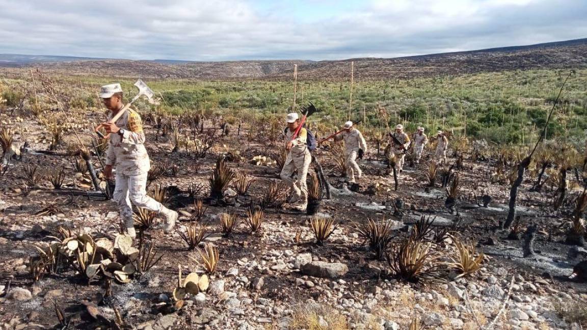 Dañan 4 mil 253 hectáreas, 14 incendios forestales en Coahuila