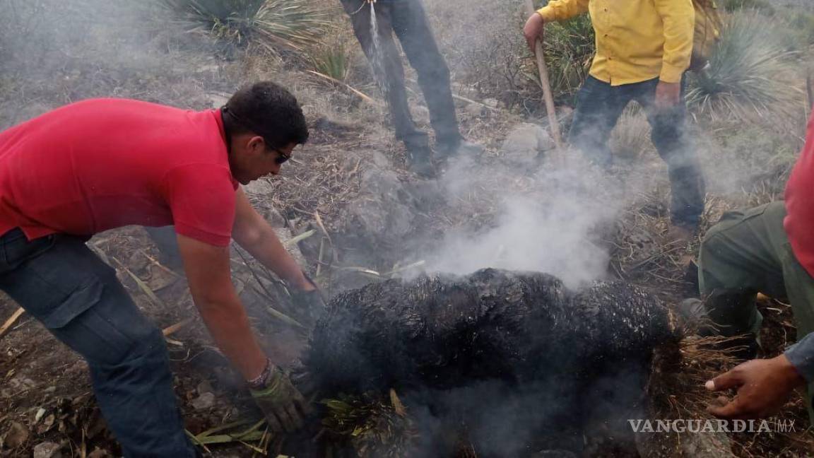 Controlan conato de incendio generado por un rayo en la Sierra de Arteaga