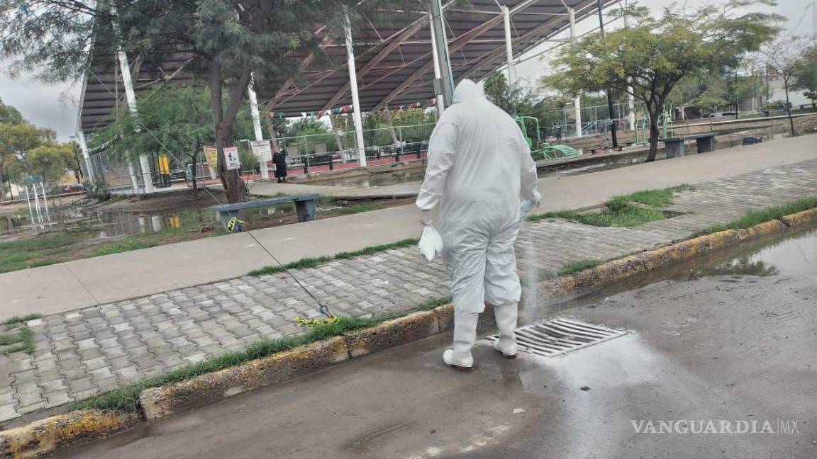 Salud Torreón implementa acciones para evitar proliferación de moscos