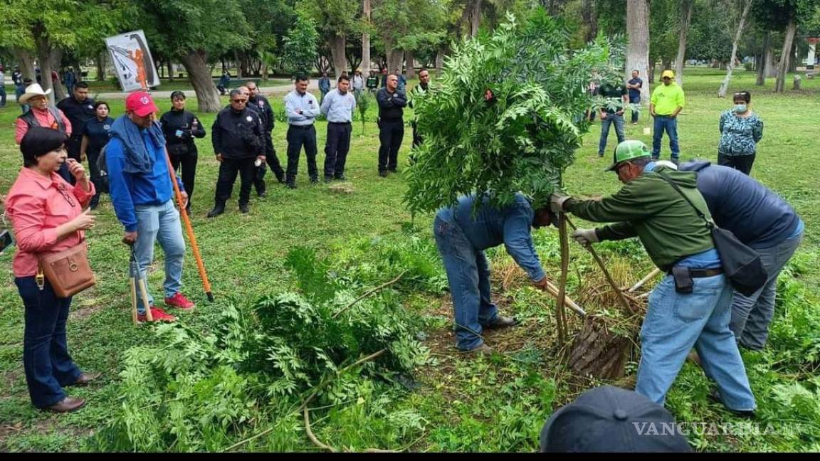 Exhortan a la ciudadanía de Torreón a realizar poda responsable