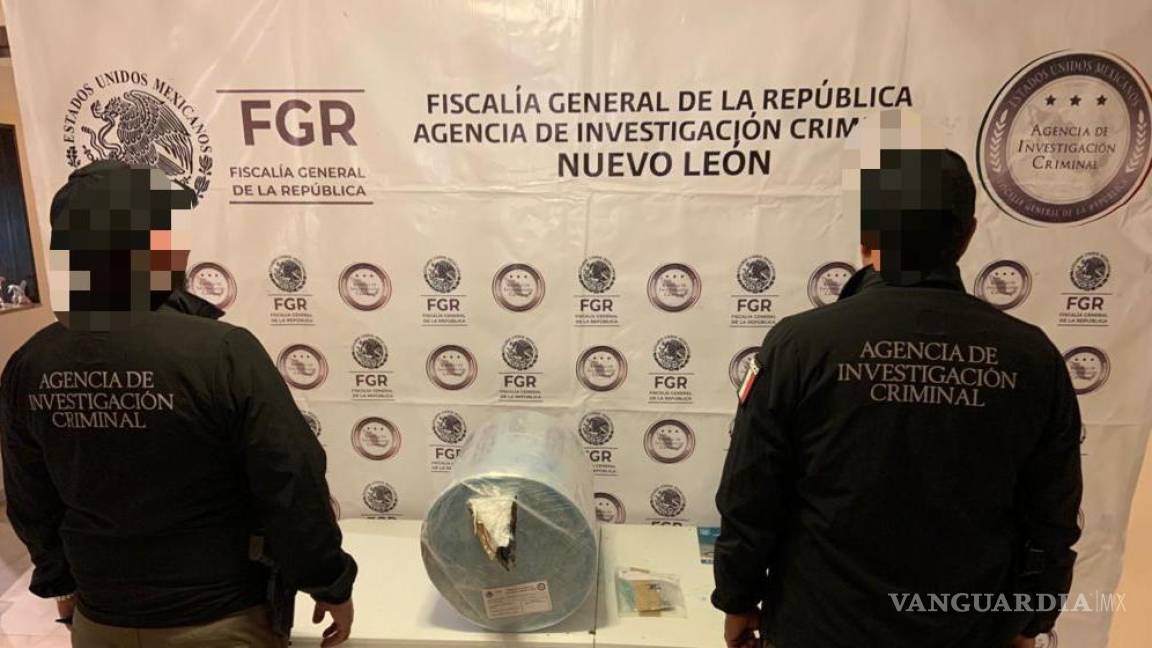 Cateo en vivienda de Guadalupe, Nuevo León permite asegurar 11 kilos de marihuana