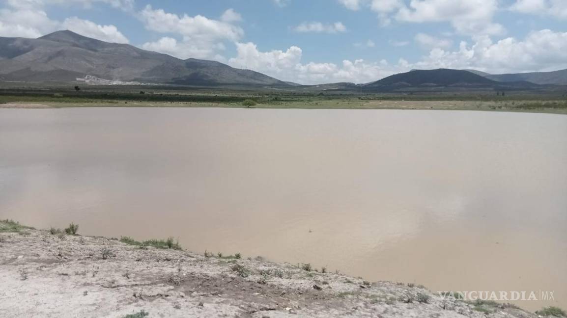 $!La entrega de 40 toneladas de semilla de sorgo y las lluvias recientes auguran una buena cosecha de forraje para el ganado.