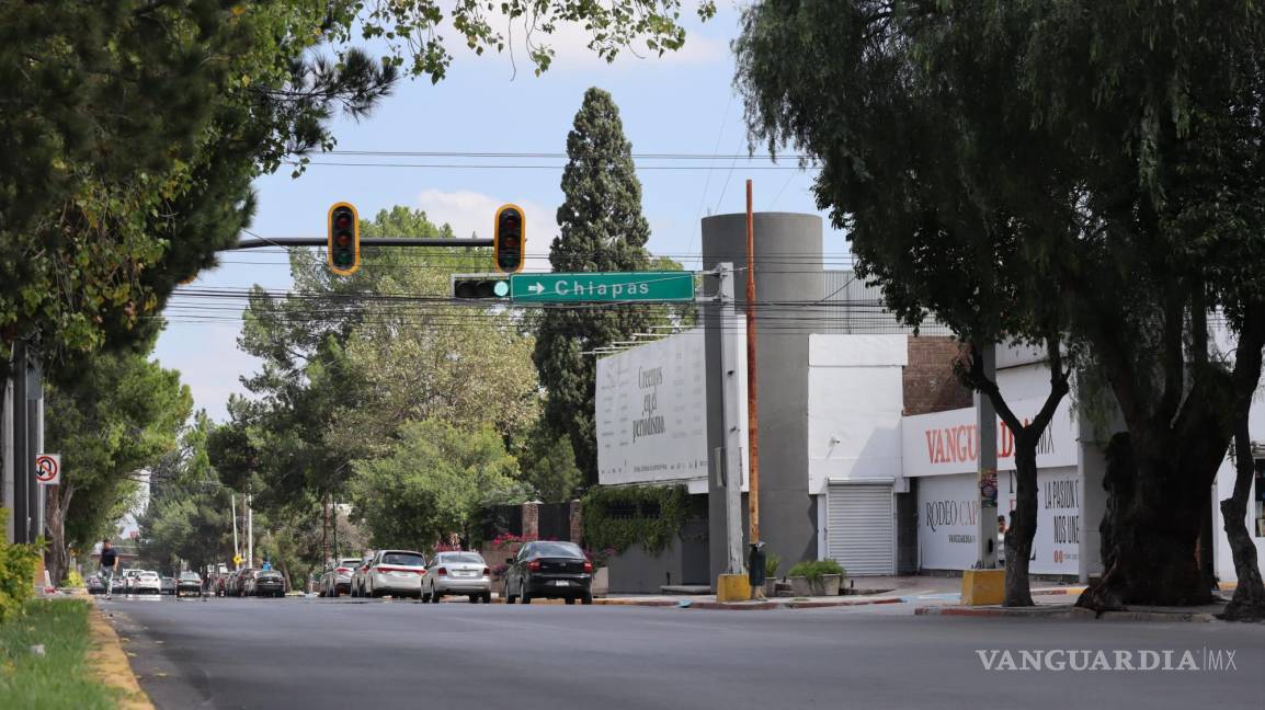 $!La instalación comenzó el 22 de septiembre en el bulevar Venustiano Carranza como parte de un proyecto de rehabilitación.