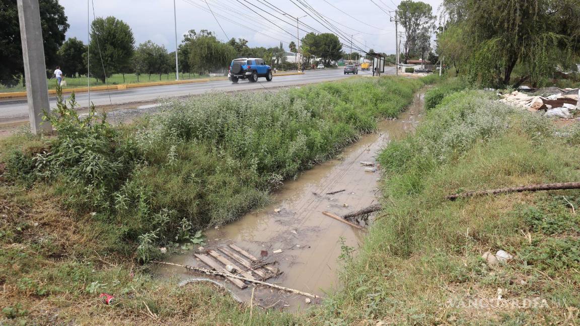 $!Inclusive en zonas aledañas al bulevar Eulalio Gutiérrez, hay inundaciones en predios.
