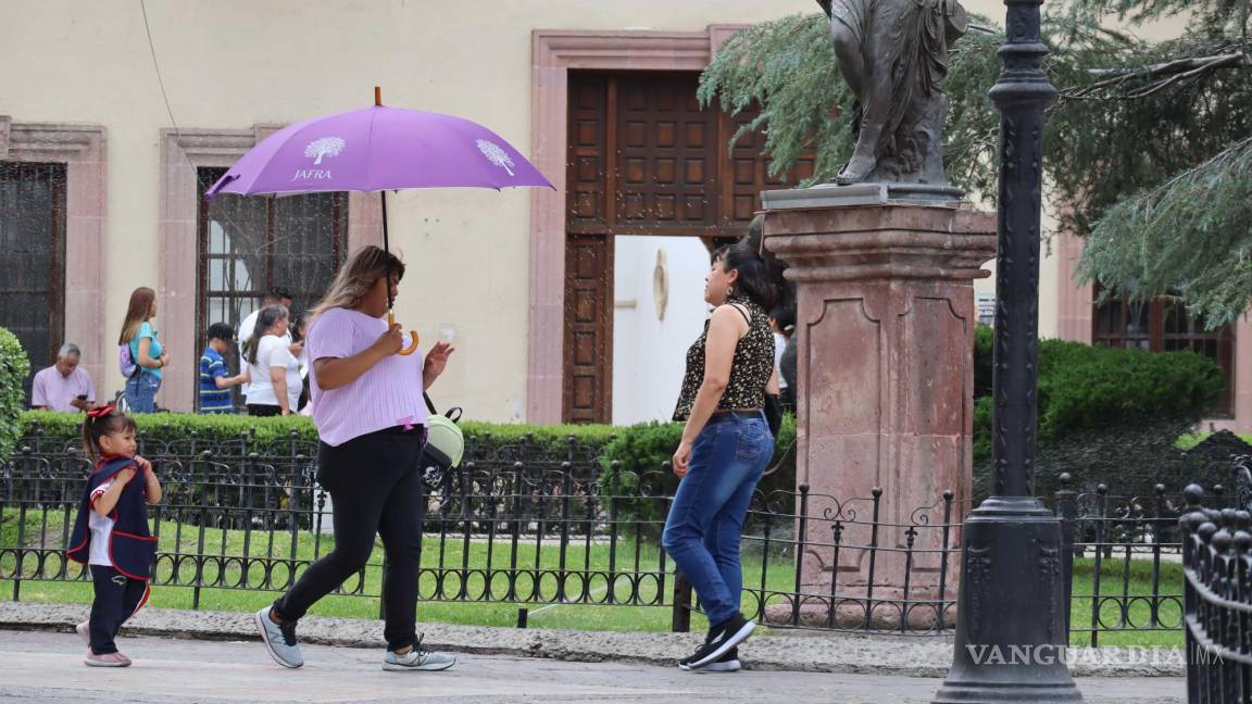 Alerta especialista: Saltillo alcanzaría 40 grados en verano de 2024