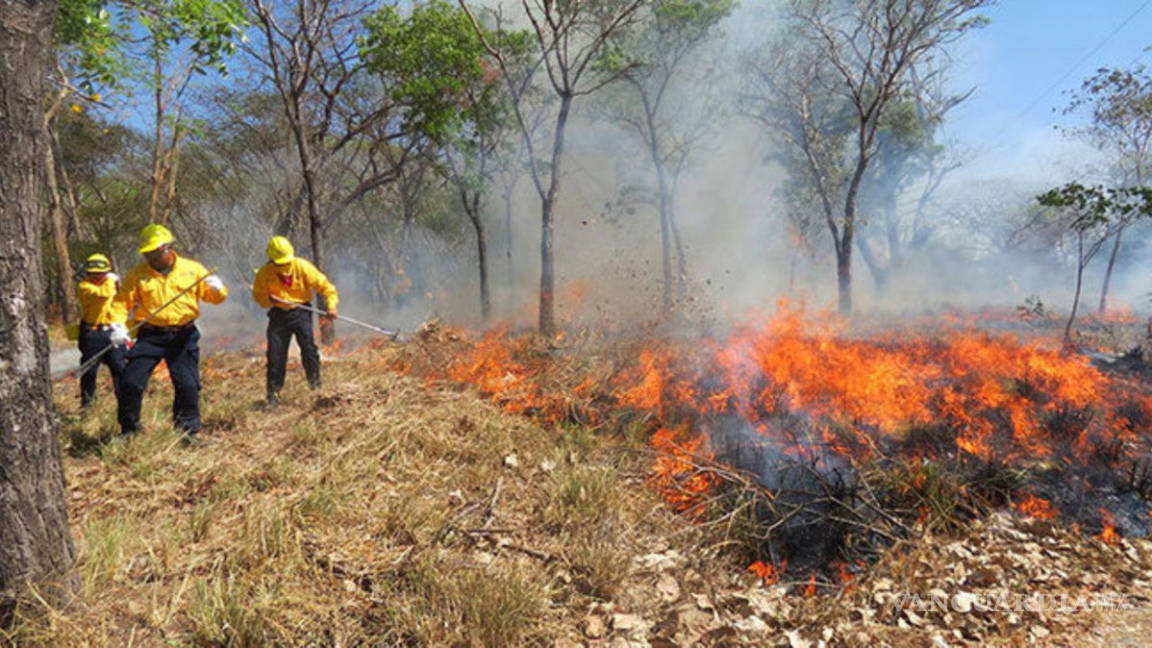 Suman 100 incendios por clima y negligencia en Tabasco
