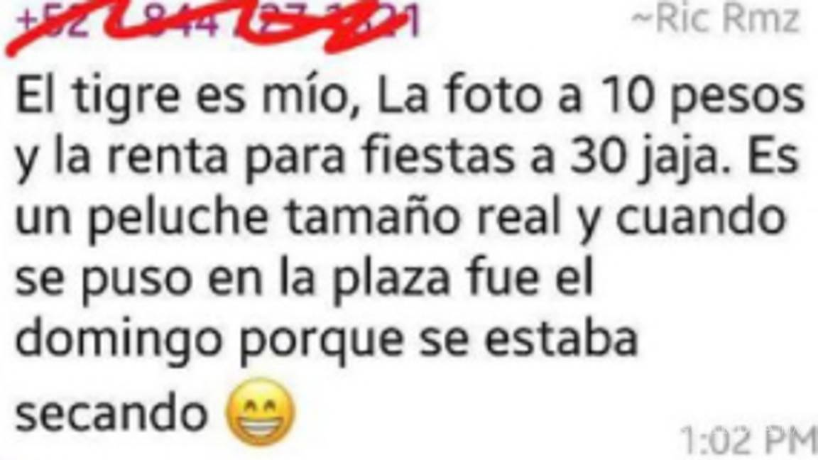 $!Tigre "suelto" causa polémica en Saltillo... era de peluche