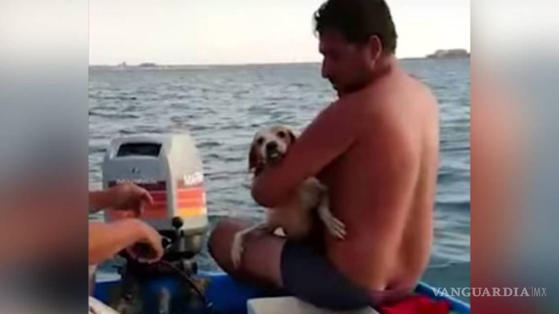 Pescadores salvan a un perro de morir ahogado en el oceáno de Baja California Sur
