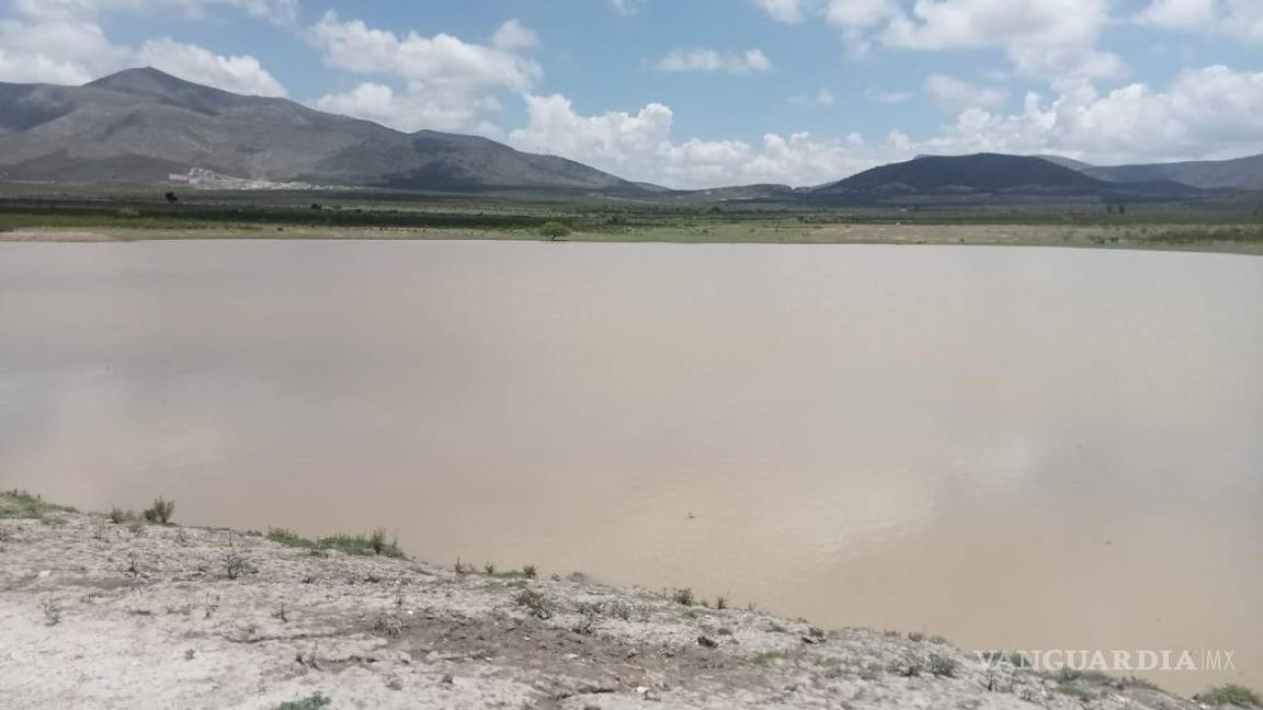 $!La entrega de 40 toneladas de semilla de sorgo y las lluvias recientes auguran una buena cosecha de forraje para el ganado.
