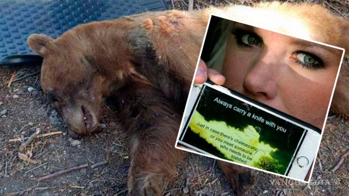 Mató a un oso que entró en su cocina y atacó a su perro; ahora es acosada y amenazada