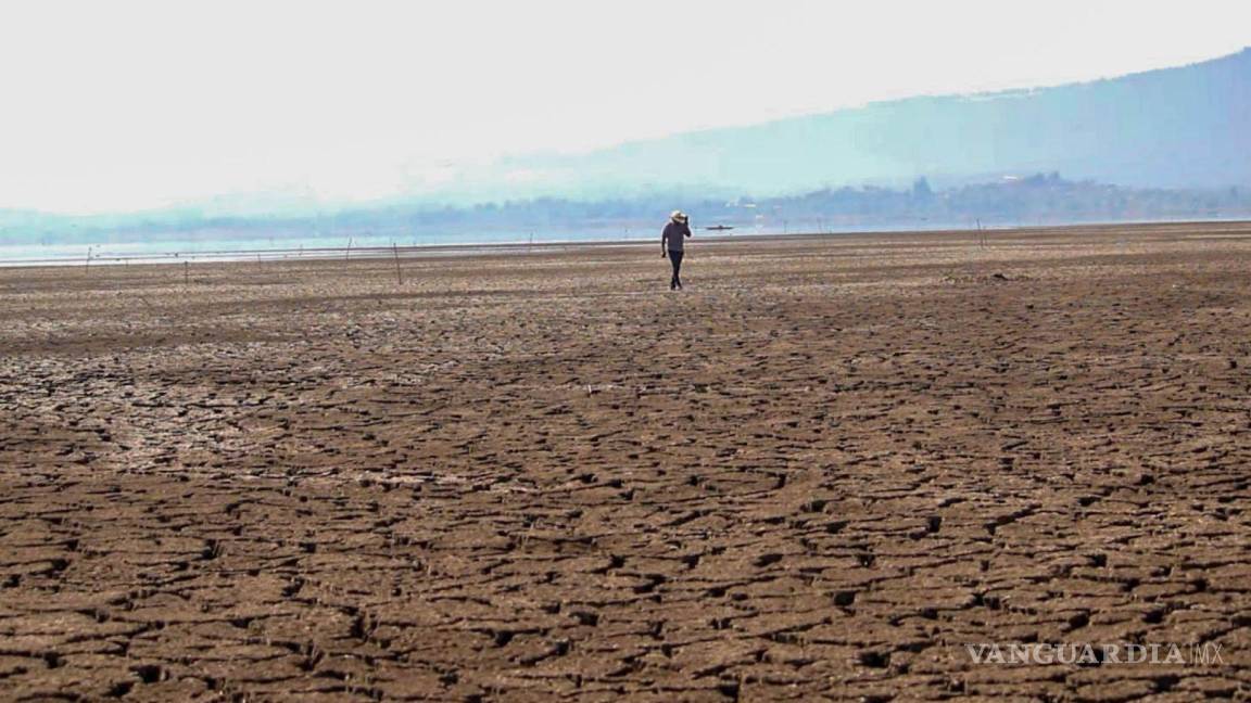Coahuila: sequía representa pérdidas por 250 millones de pesos a productores de papa