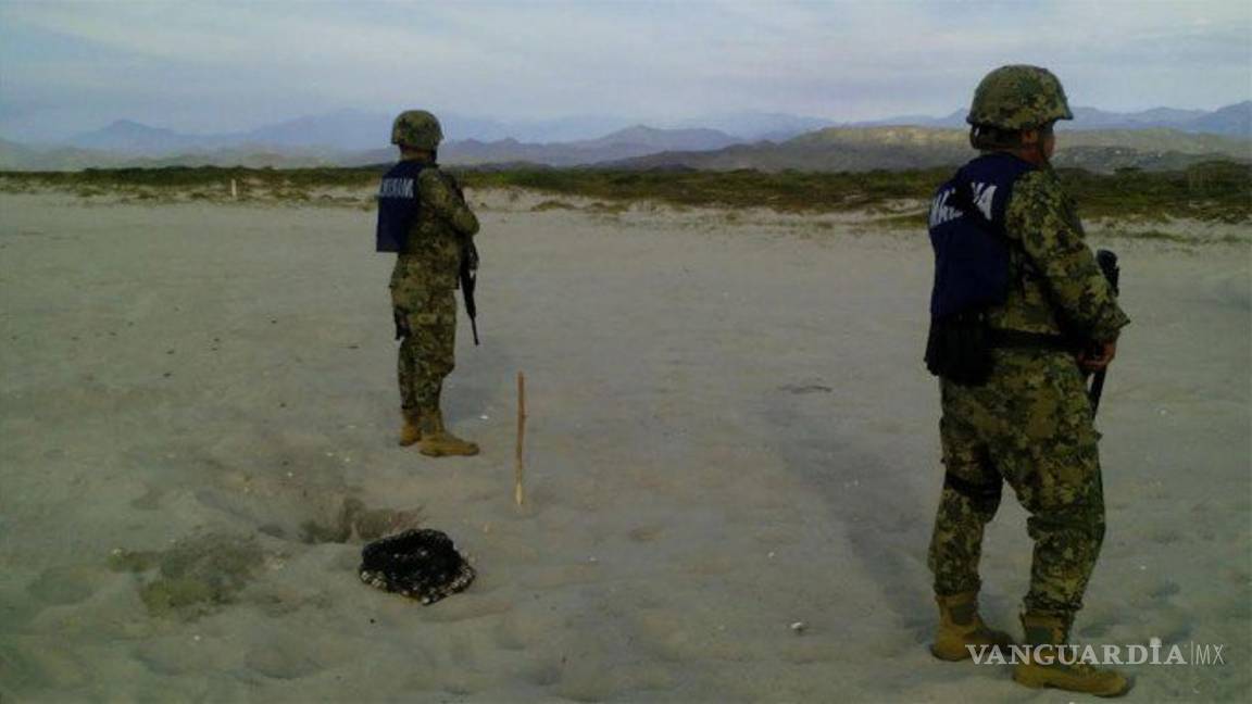 $!Semar asegura casi mil 190 huevos de tortuga en Michoacán y Oaxaca