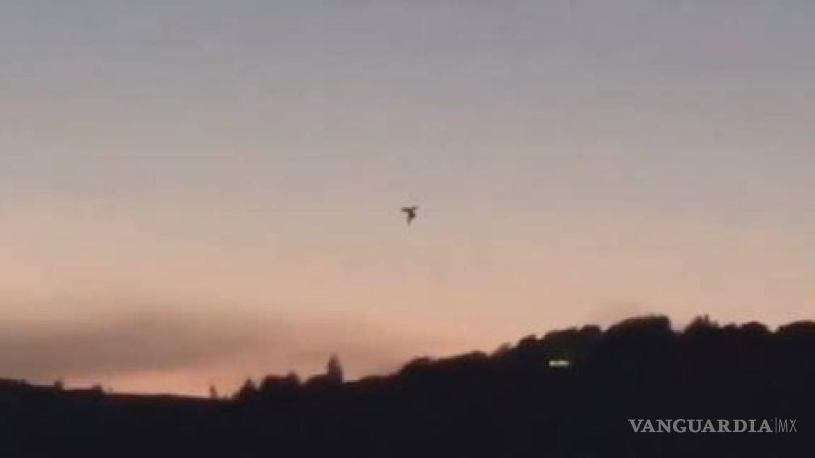 ¿El hombre polilla o un extraterrestre?... Jaime Maussan muestra imágenes de un ser humanoide volador (video)