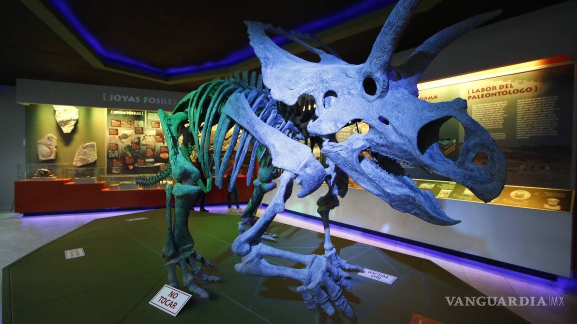 $!Museo del Desierto de Saltillo presenta área totalmente renovada, en el marco de su vigésimo aniversario