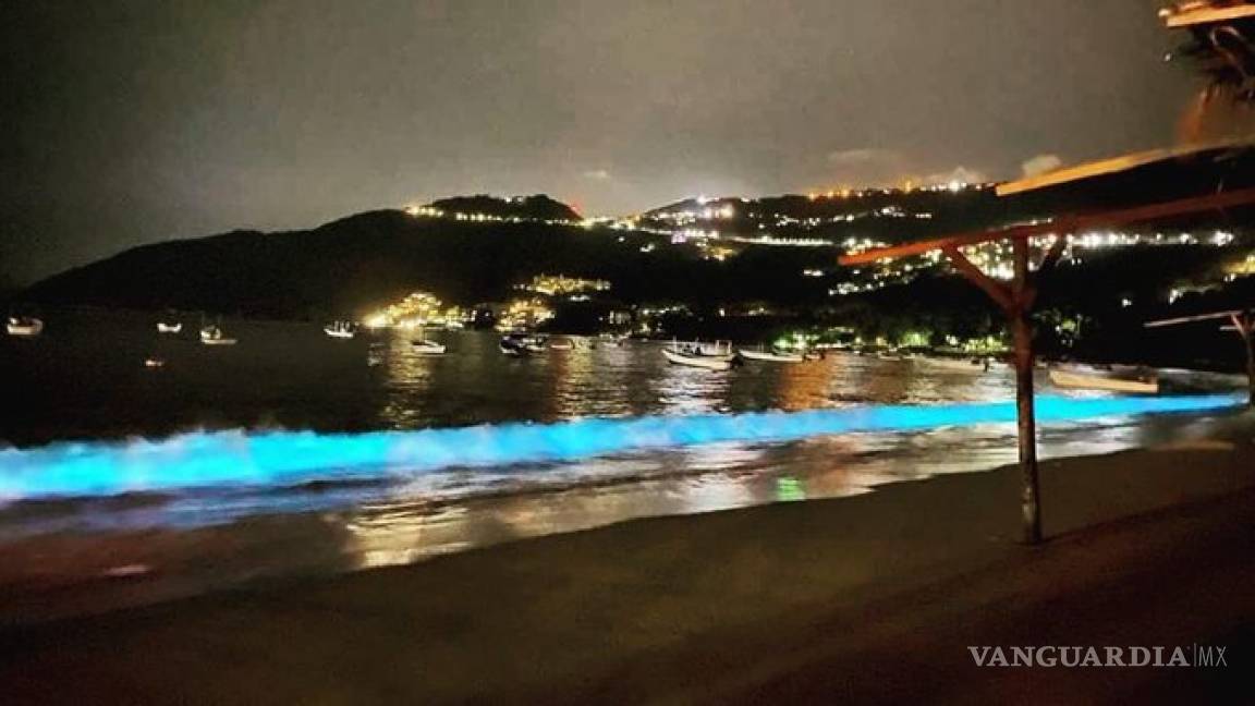 Ausencia de turistas provoca bioluminiscencia en playas de Acapulco