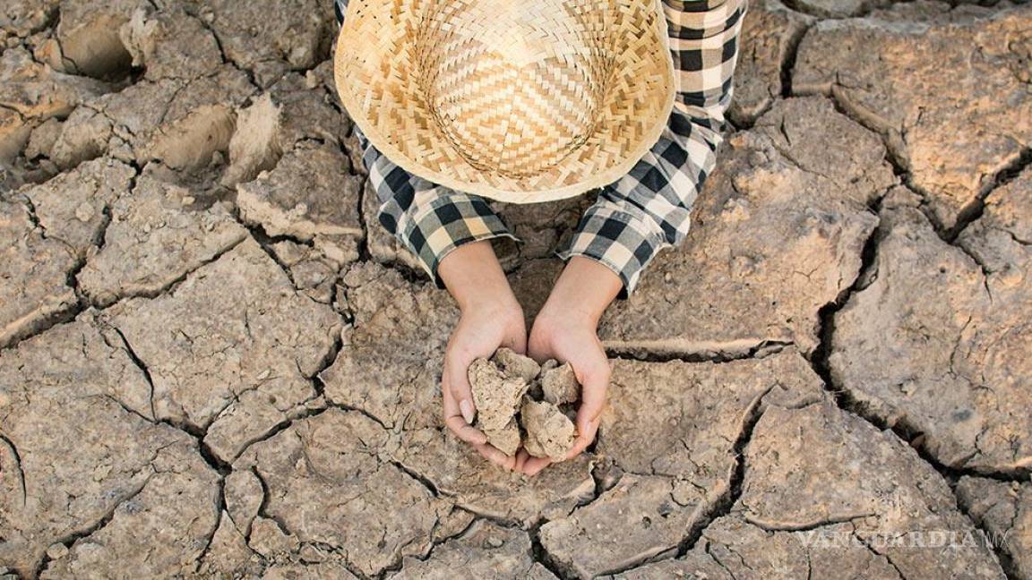Coahuila, en top por pérdidas agropecuarias debido a la sequía