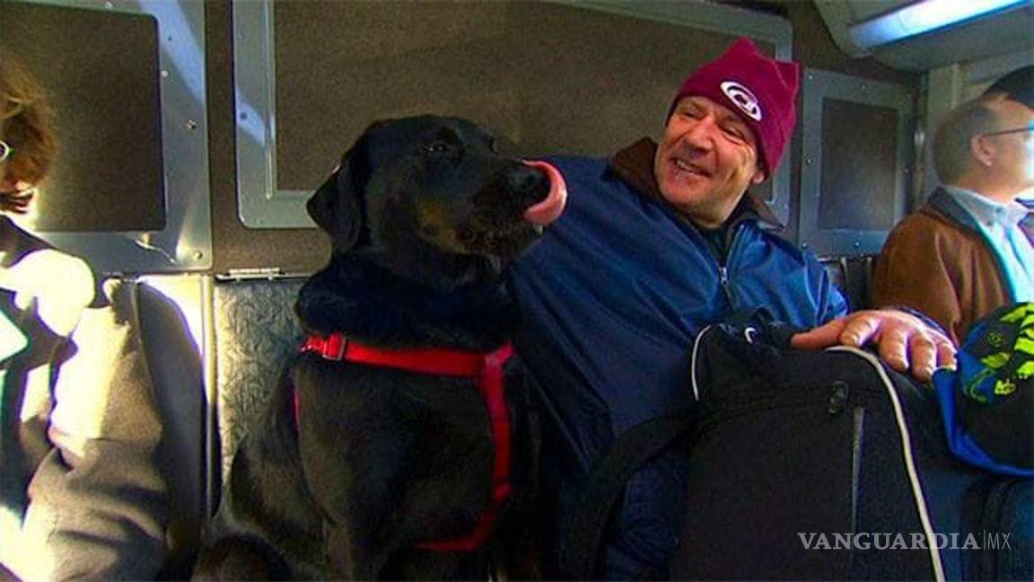 $!Perrita que viaja sola en camión para ir al parque conmueve las redes sociales