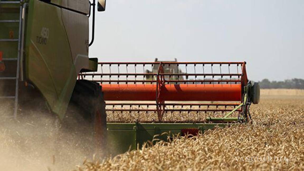 Dispara invasión de Rusia a Ucrania los precios del trigo entre 19 y 29%
