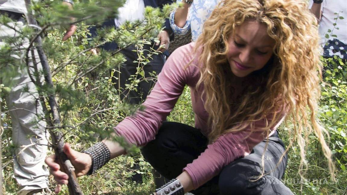 Es falso que Shakira se llevará un árbol de Barcelona