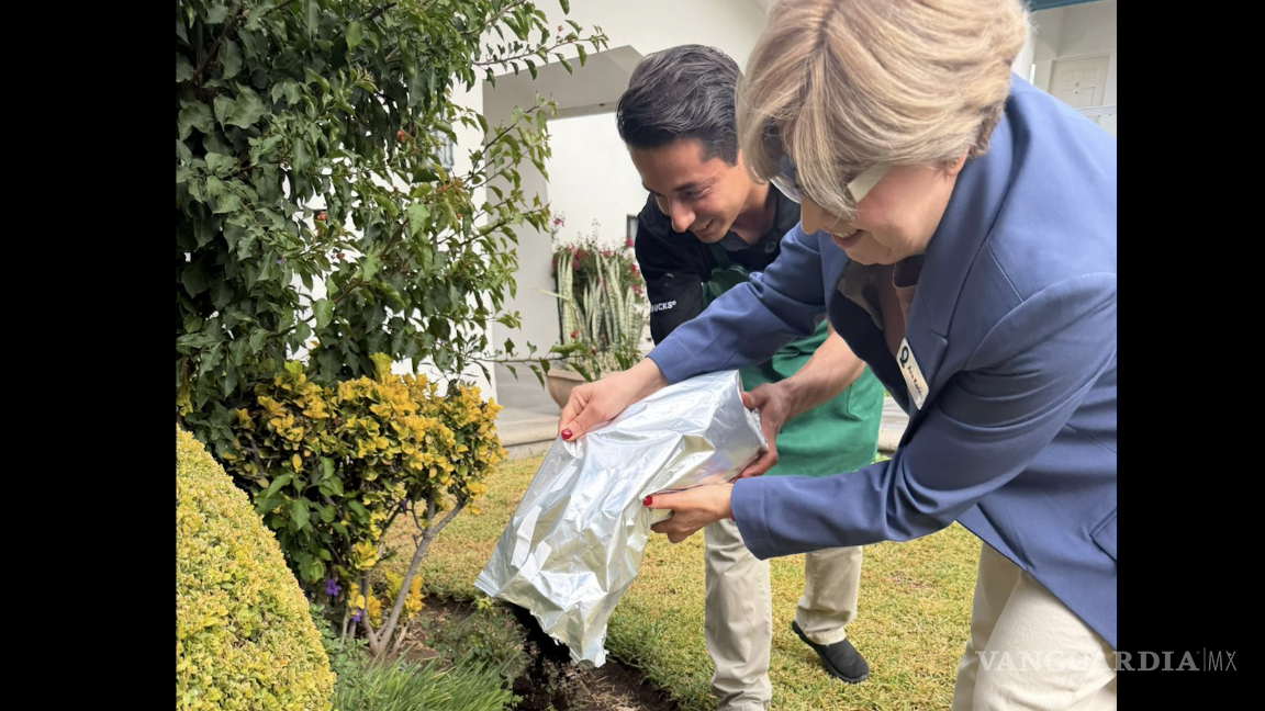 $!Personal de Quinta Dorada aplicó composta orgánica proveniente de Starbucks en las áreas verdes del hotel, como parte de sus acciones de sostenibilidad.