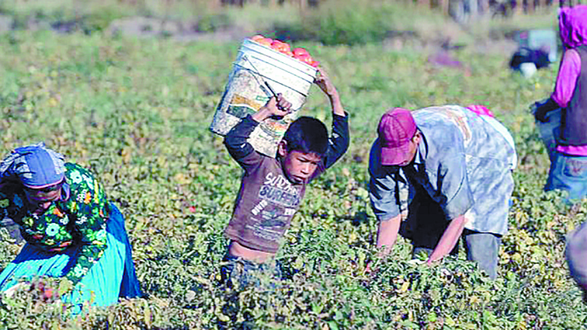 Urge acabar con trabajo infantil
