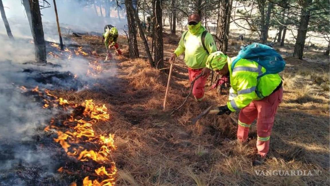 NL solicita declaratoria de emergencia por incendio en la Sierra de Santiago