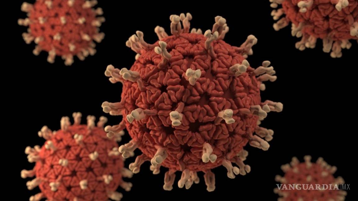 Sin evidencia de que coronavirus pueda transmitirse a través de contacto con objetos: OMS
