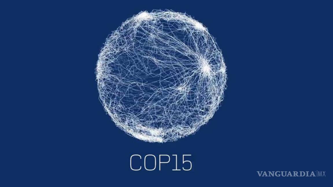 Cumbre biodiversidad de la ONU, COP15, buscará fijar metas para la próxima década