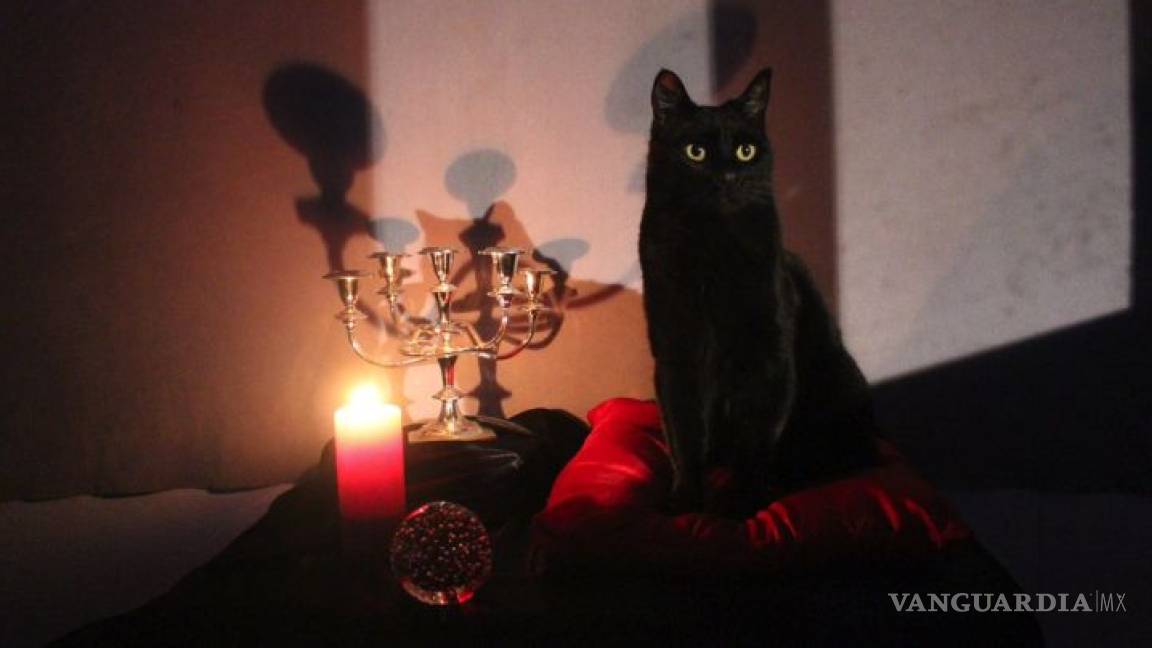 Así luce Salem, el gato de Sabrina, en la serie de Netflix