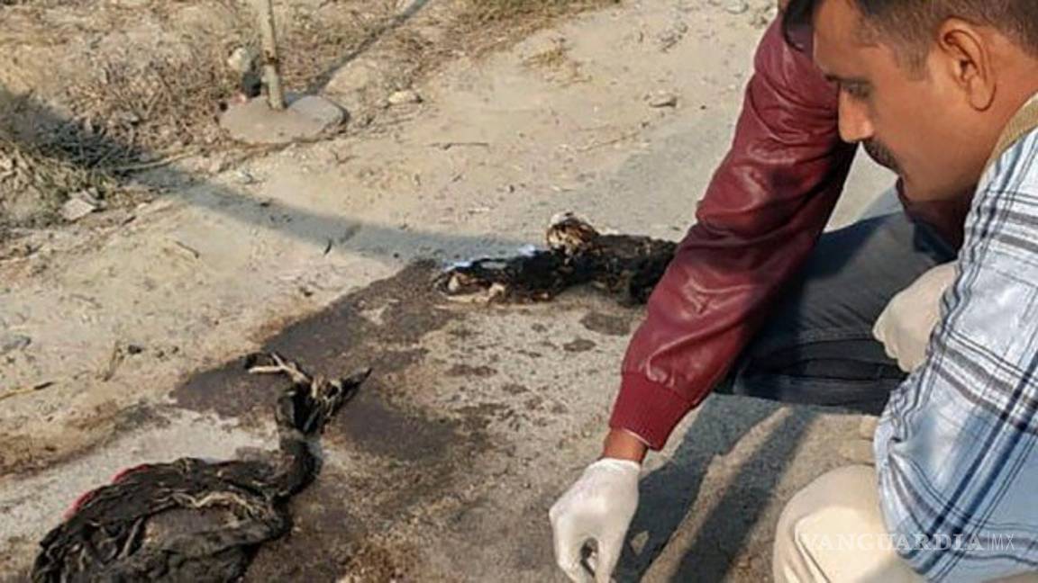 $!Iba a denunciar a los hombres que abusaron de ella, la queman camino a la audiencia