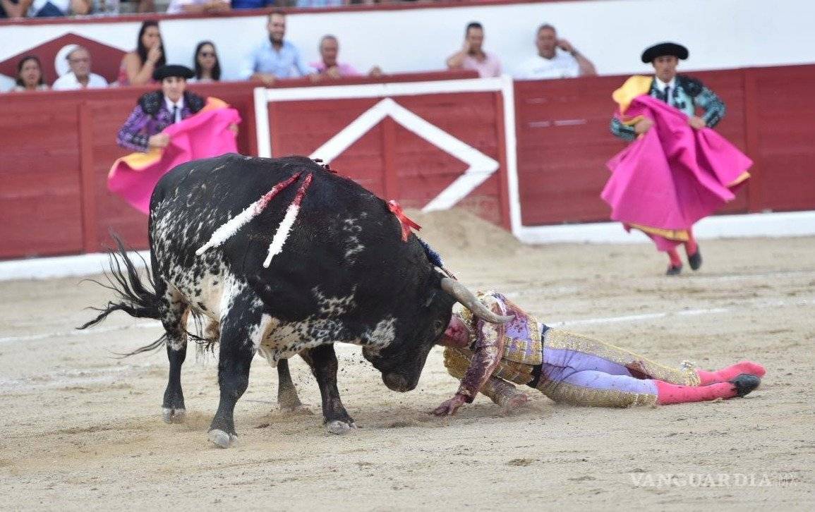 $!Torero español sufre cornada en la zona genital