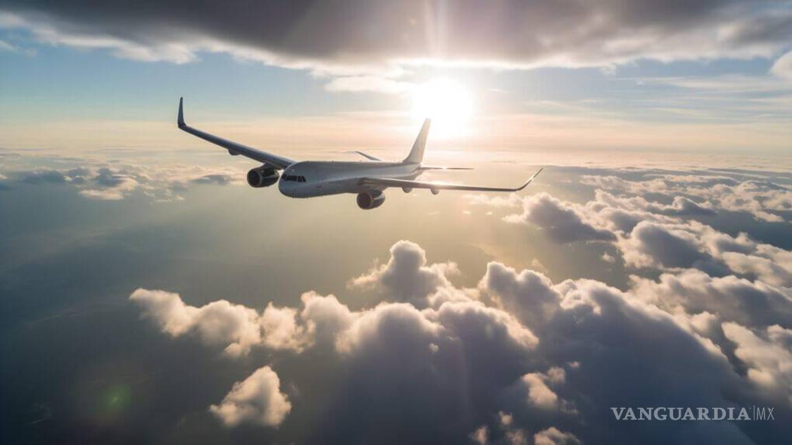 Proponen iniciativa transferir boleto de vuelos sin costo