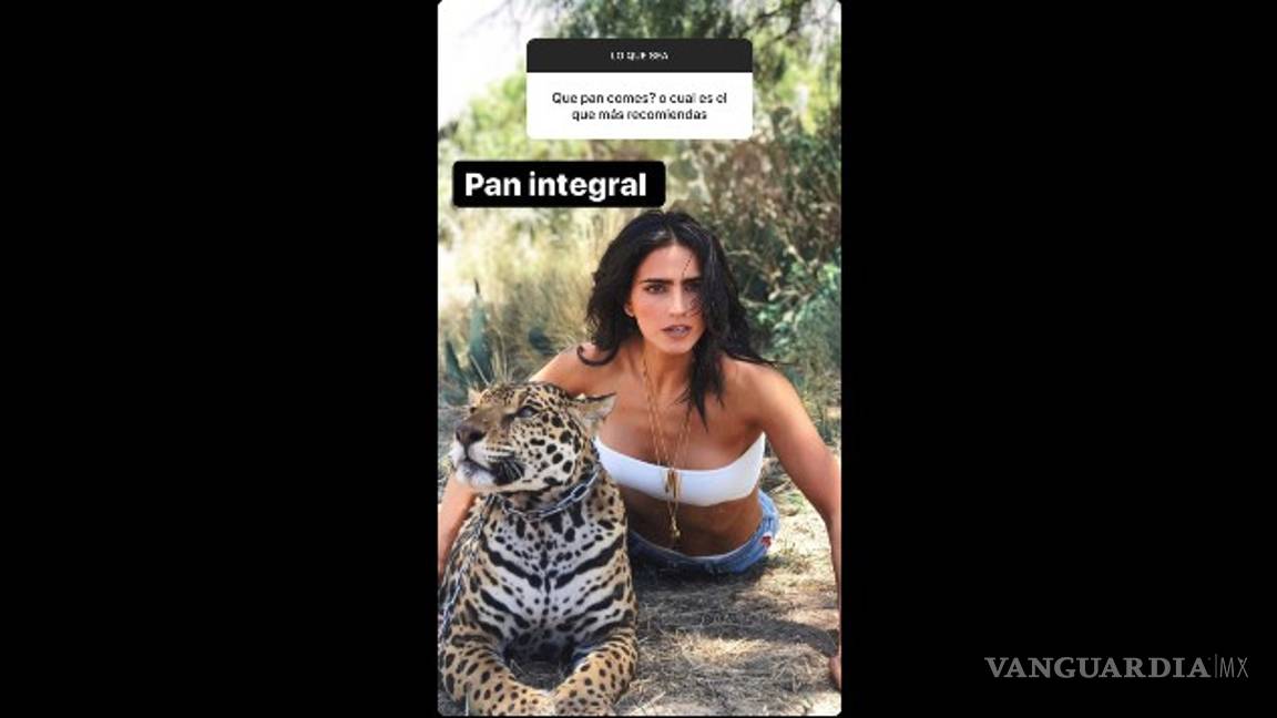 $!Usuarios preguntan a Bárbara del Regil qué tipo de pan comía, y su respuesta desata memes y burlas