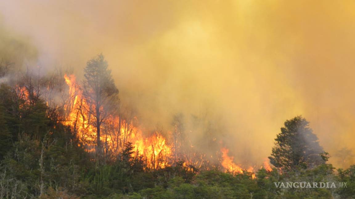 $!Fuego destruye 840 mil hectáreas de campos en Argentina