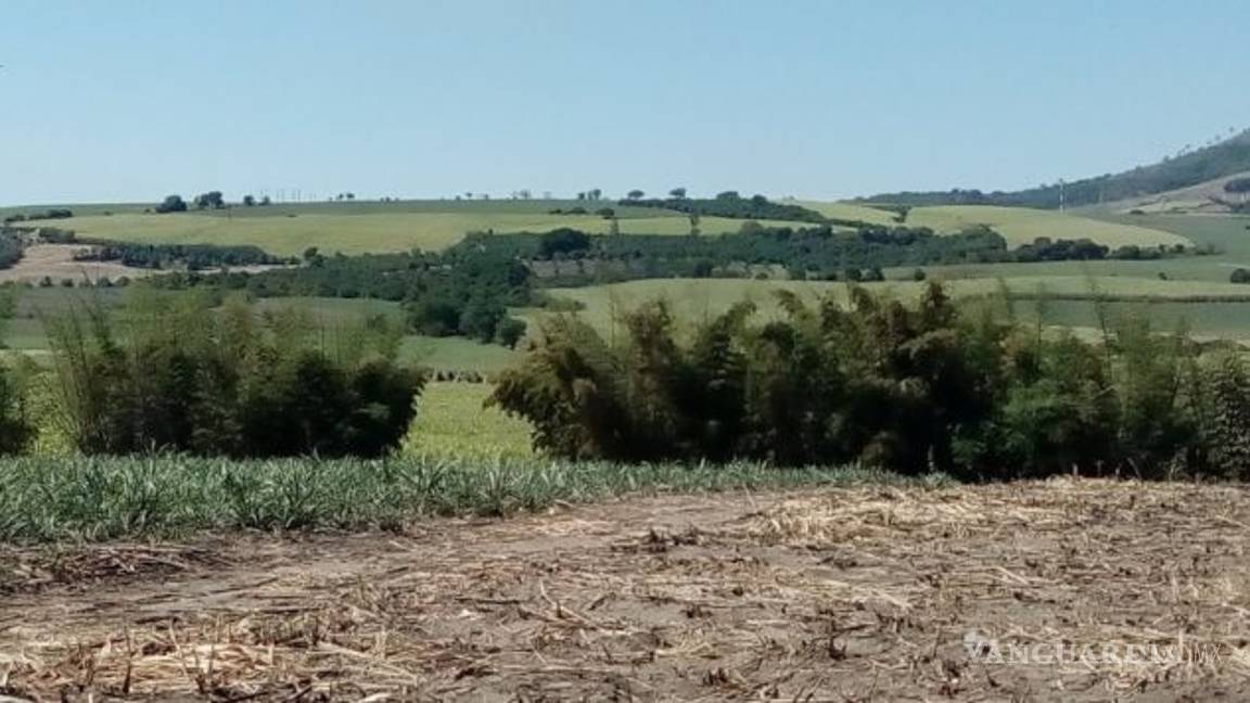 $!Son ya 21 cuerpos encontrados en fosa clandestina de Nayarit