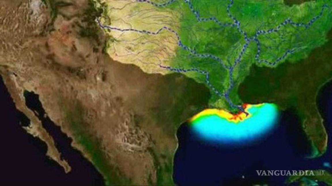 ¿Qué es la 'Zona Muerta' del Golfo de México?