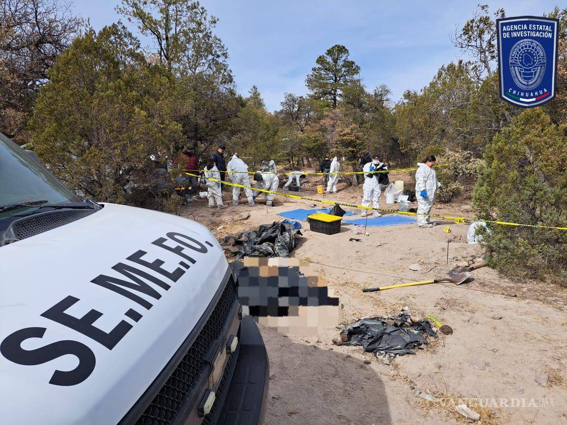 $!Hallan 91 cuerpos en fosa clandestina ‘El Willy’ en Nuevo Casas Grandes; 62 víctimas ya fueron identificadas