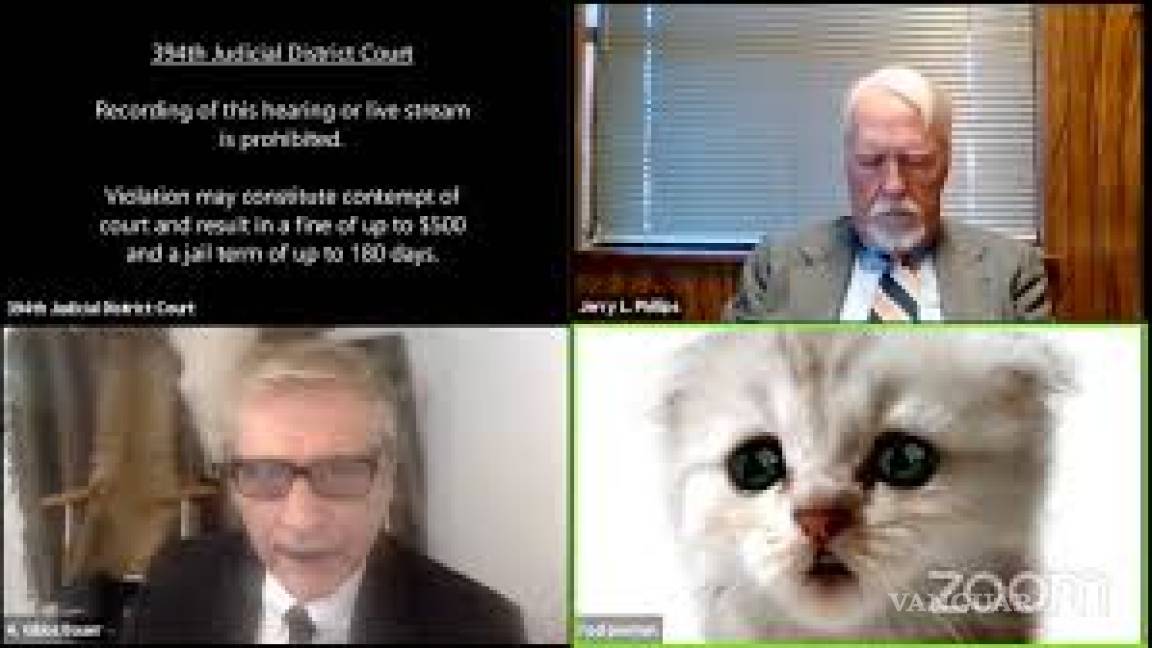'Señor juez, no soy un gato'... abogado activa el filtro Zoom por error (video)