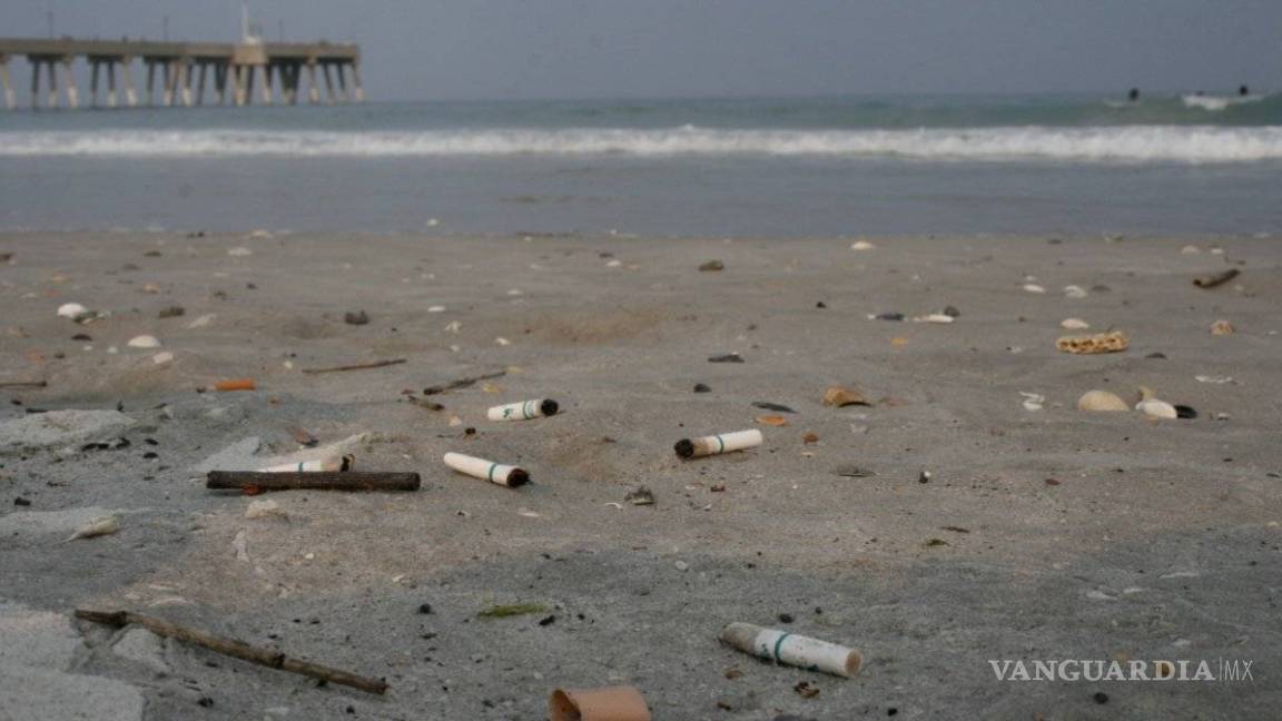$!Existe un contaminante aún peor que los popotes... ¡las colillas de cigarros!